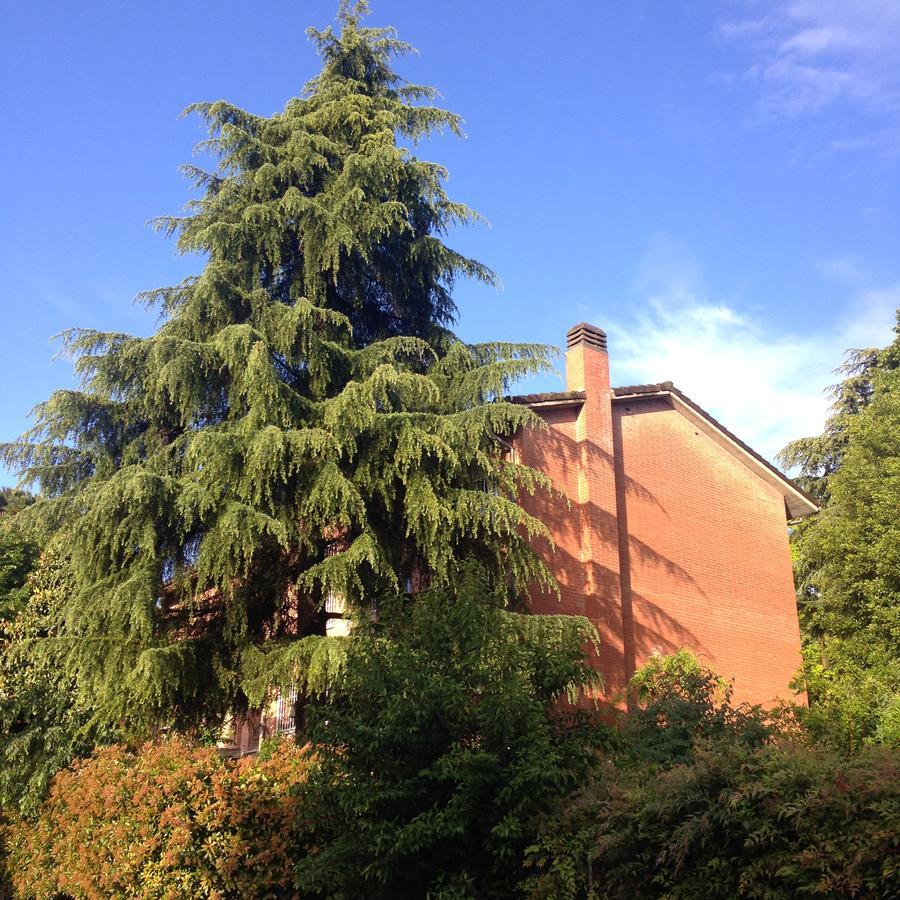Il Picchio Bed & Breakfast