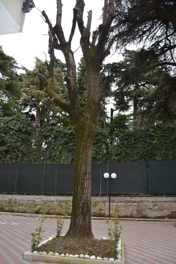 Porte Di 3*