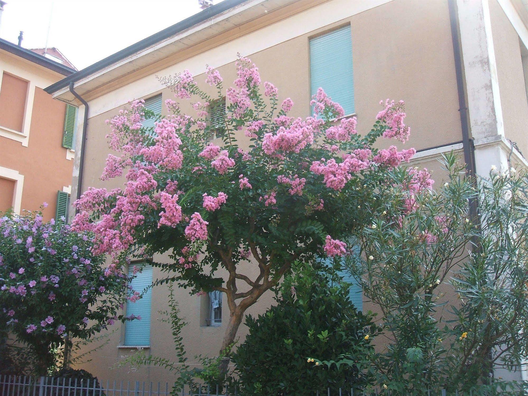 Hotel B&B Accorsi 3*