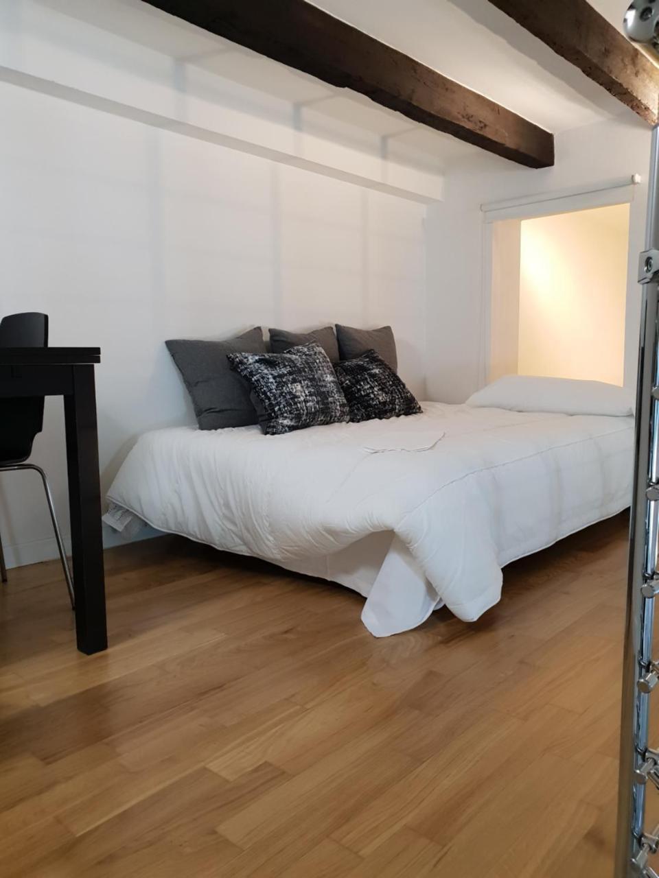 Apartment Loft Irnerio