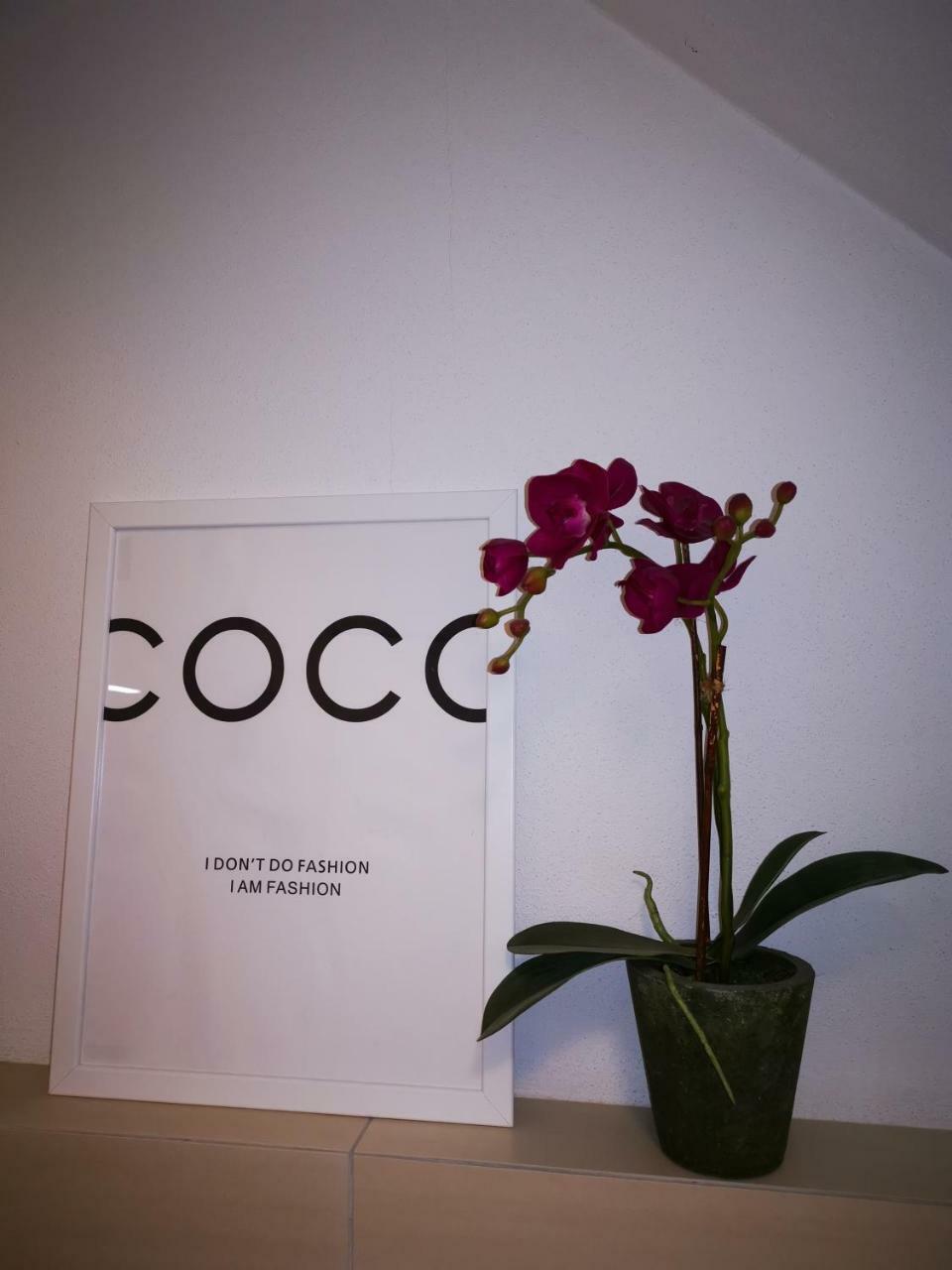 Boutique Apartamento *