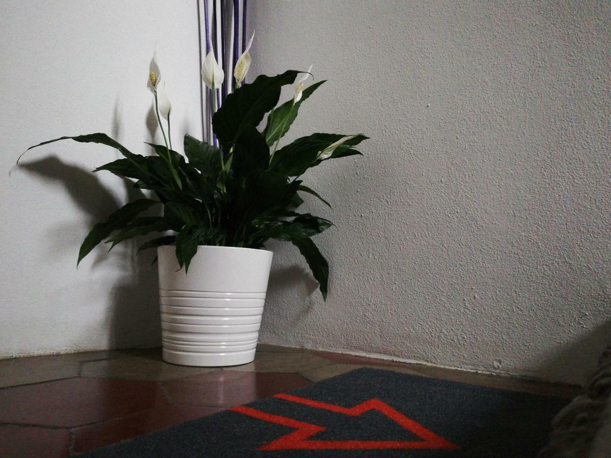 Stop Over Blq Bed & Breakfast Bologna