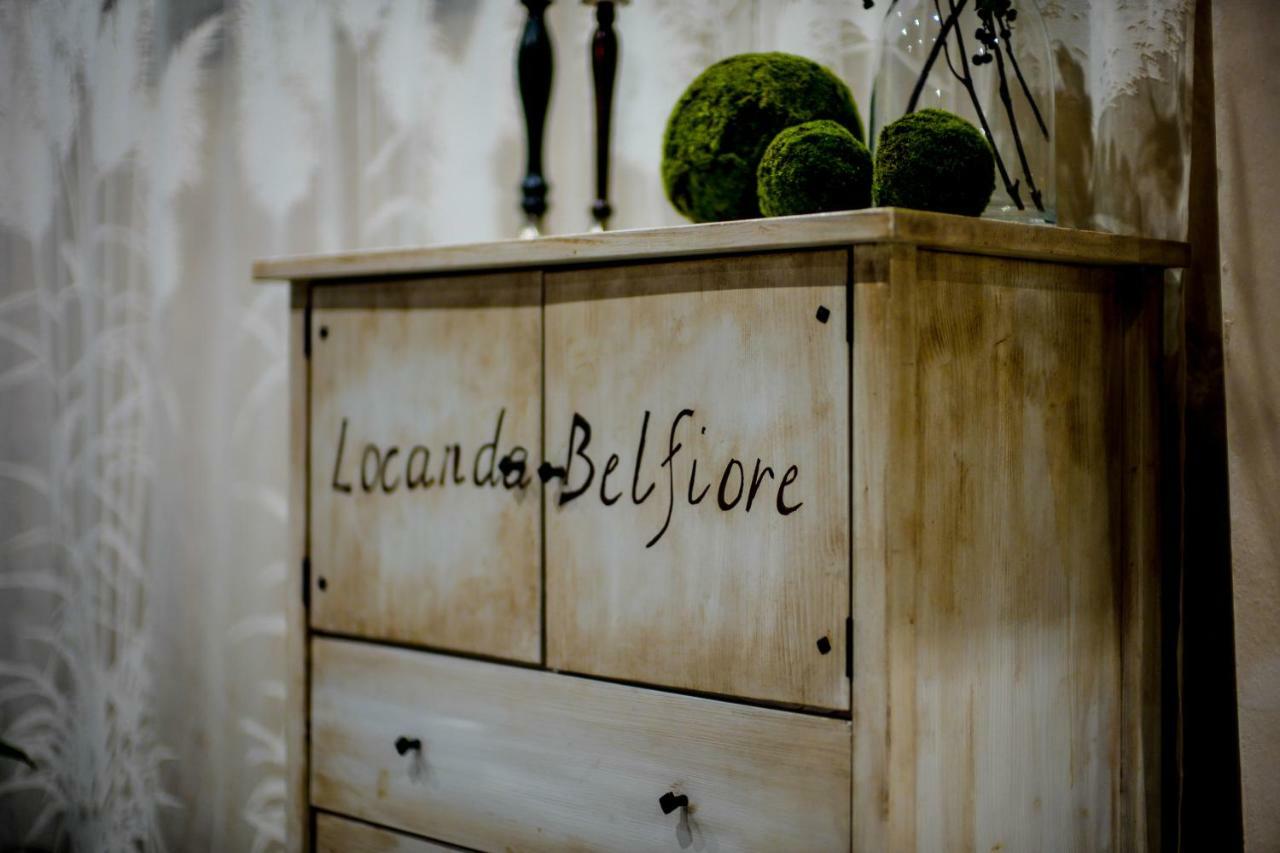 Belfiore * Bologna