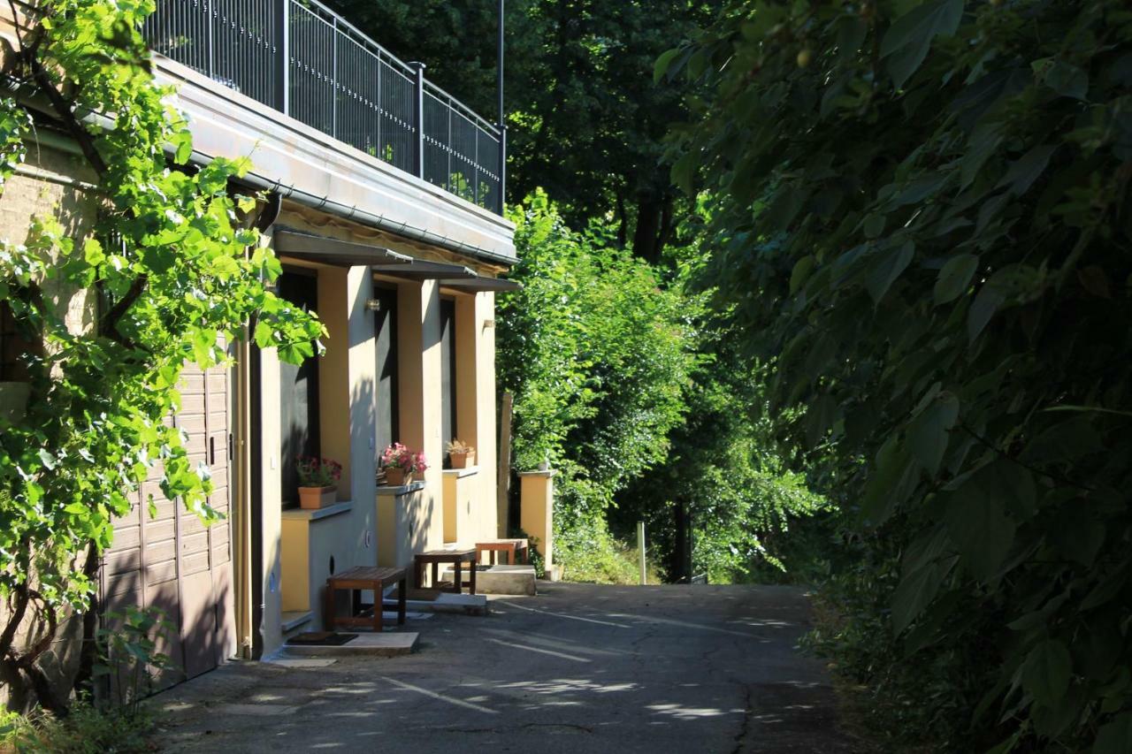 Boscobo - Relax & Natura Apartment Bologna