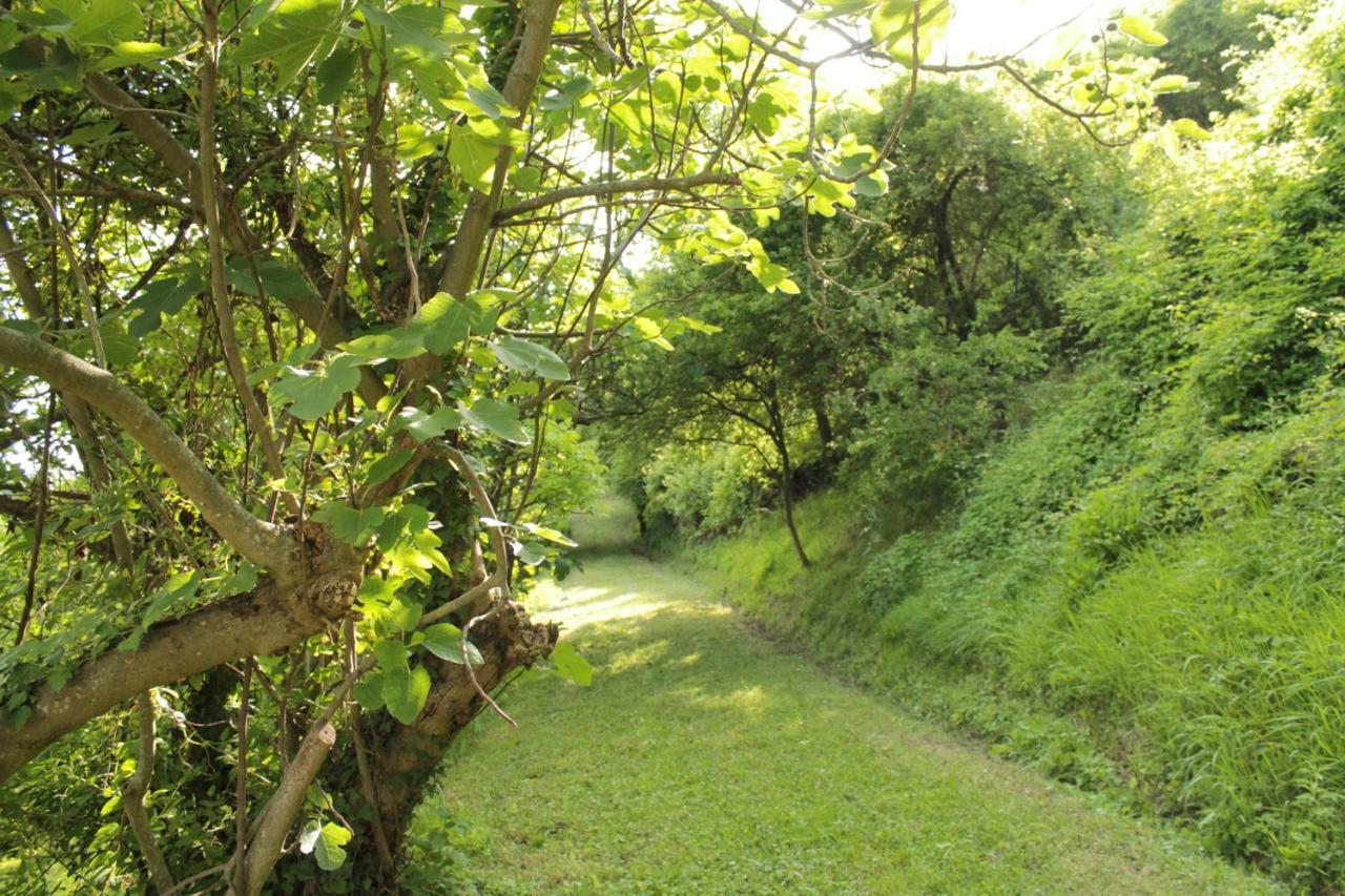 Boscobo - Relax & Natura Apartment
