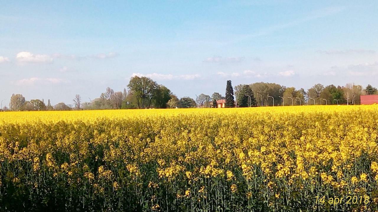 Fienile Fico Fiera Appartamento Bologna