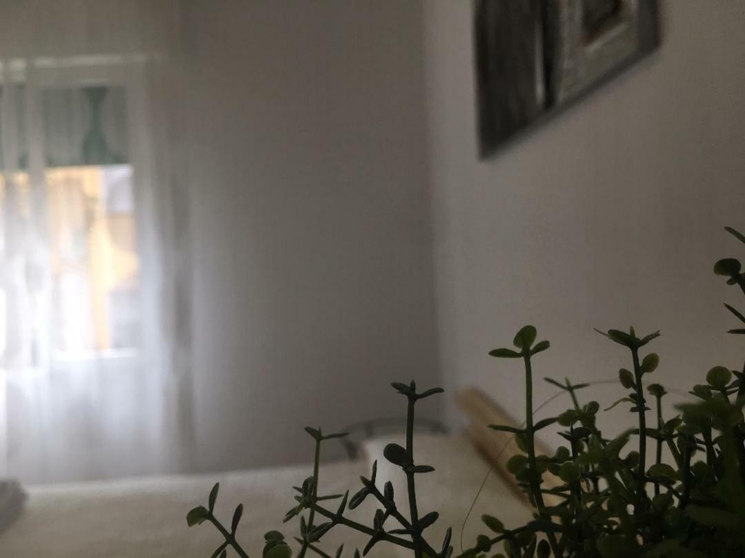 Zerbini Bed & Breakfast Bologna