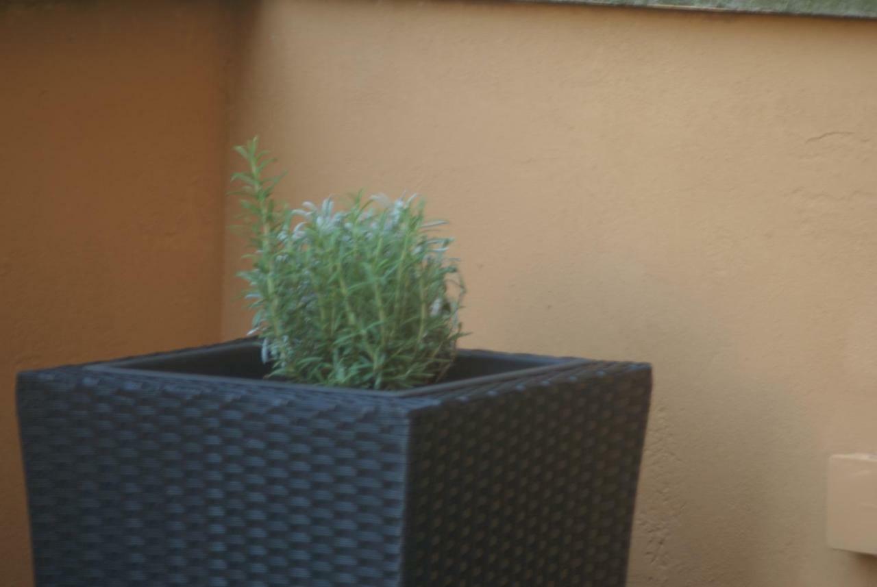 Apartment Stayinbologna