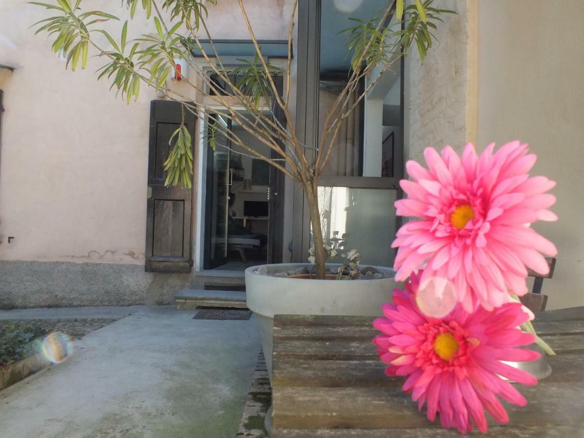 Loft Garden In Bologna's Heart Ospedale Rizzoli *