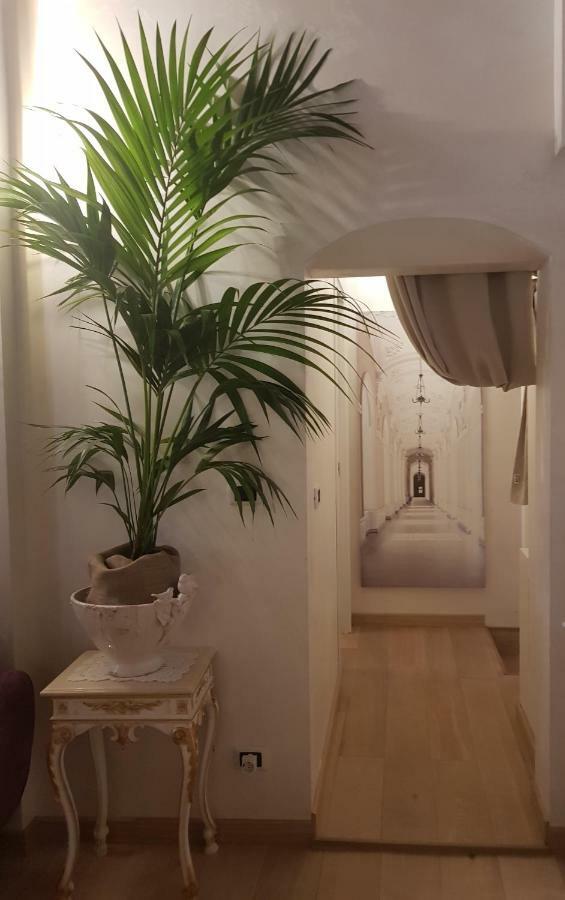 Stella Del Mar S.stefano Guest house