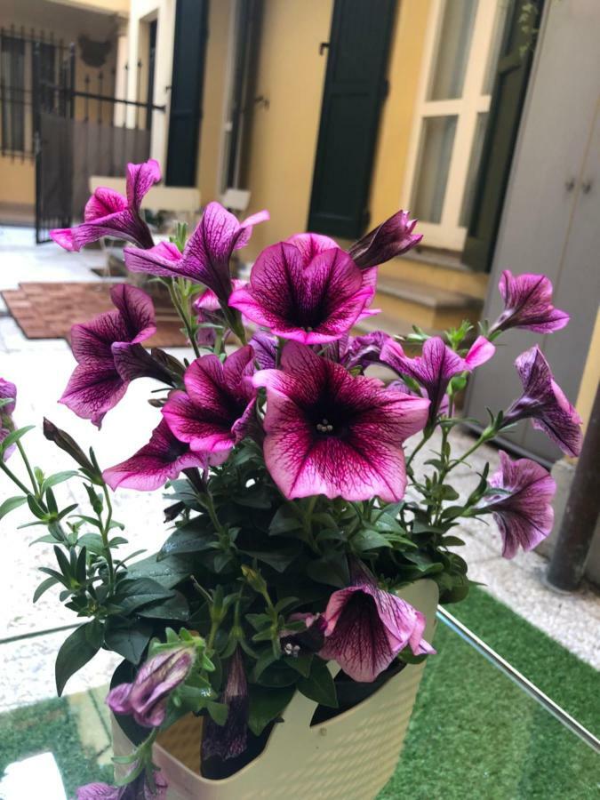 Le Palme Apartment