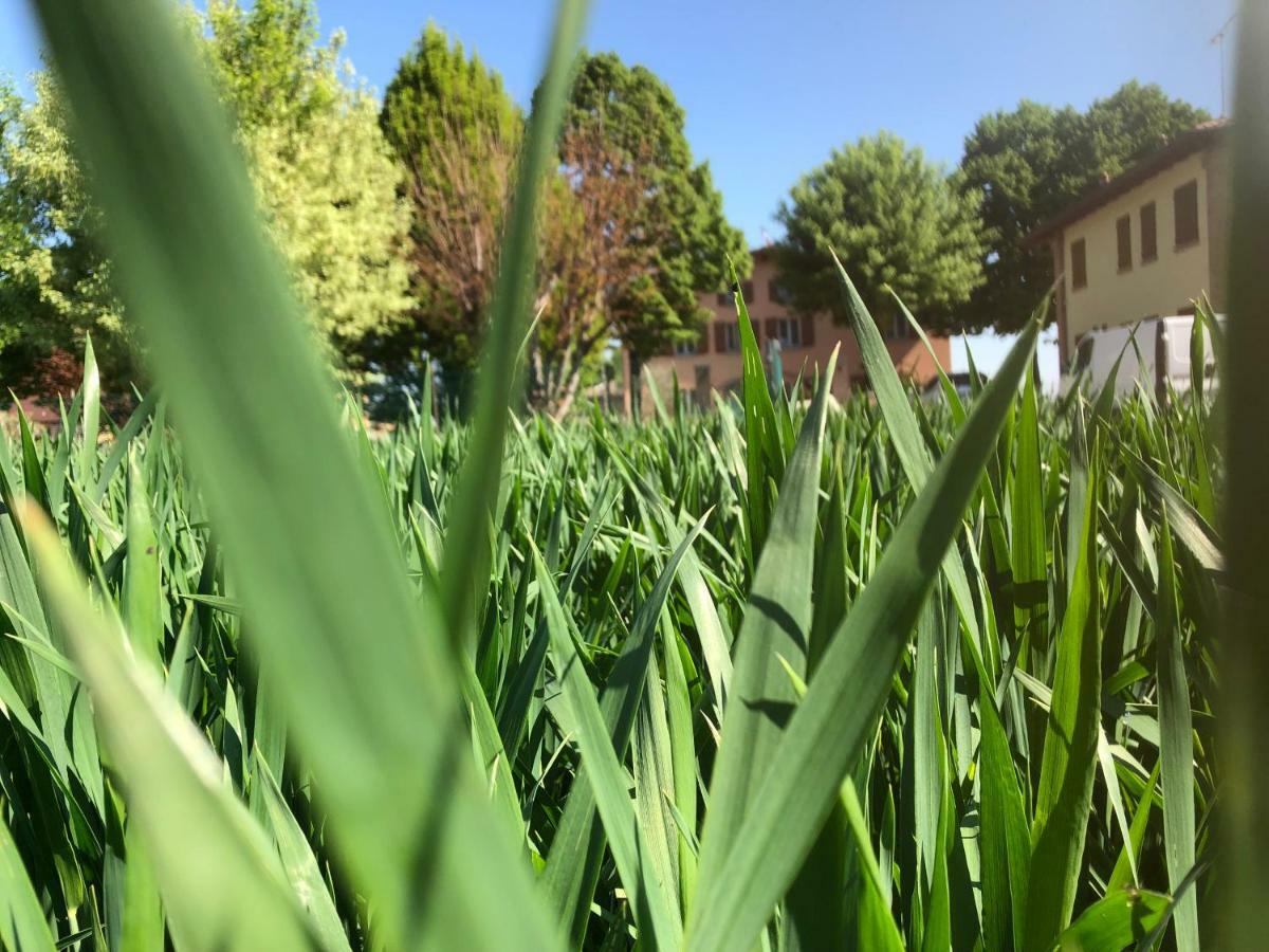Farm stay N'uova Campagna *