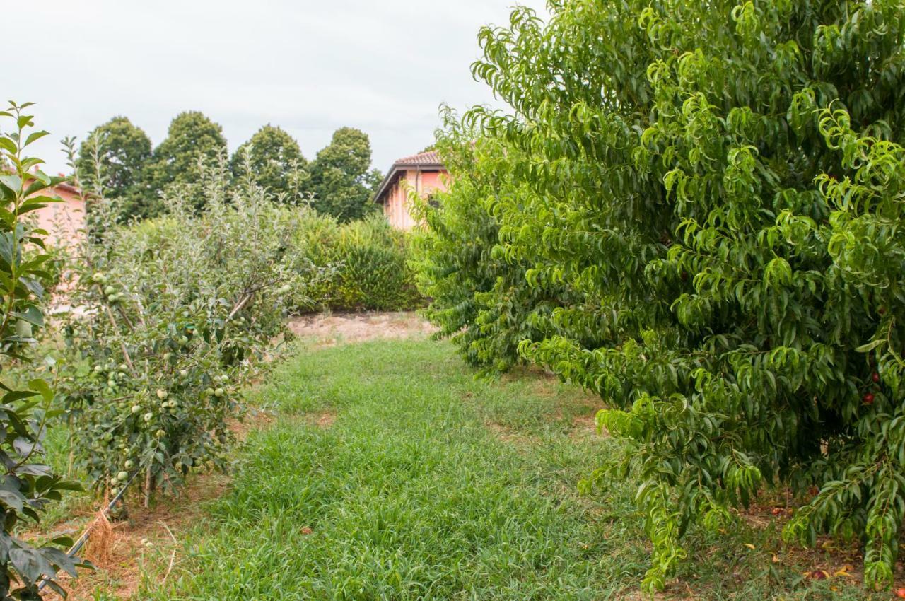 N'uova Campagna Bologna