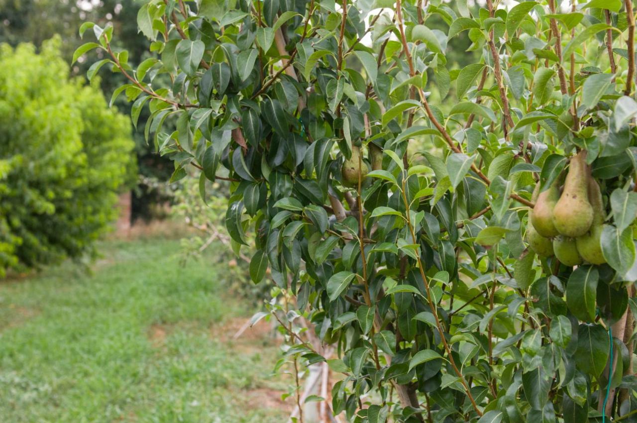 Farm stay N'uova Campagna Bologna