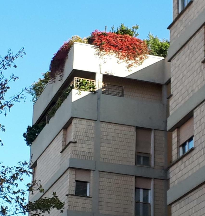 Bed & Breakfast Fiera - Mini Attico