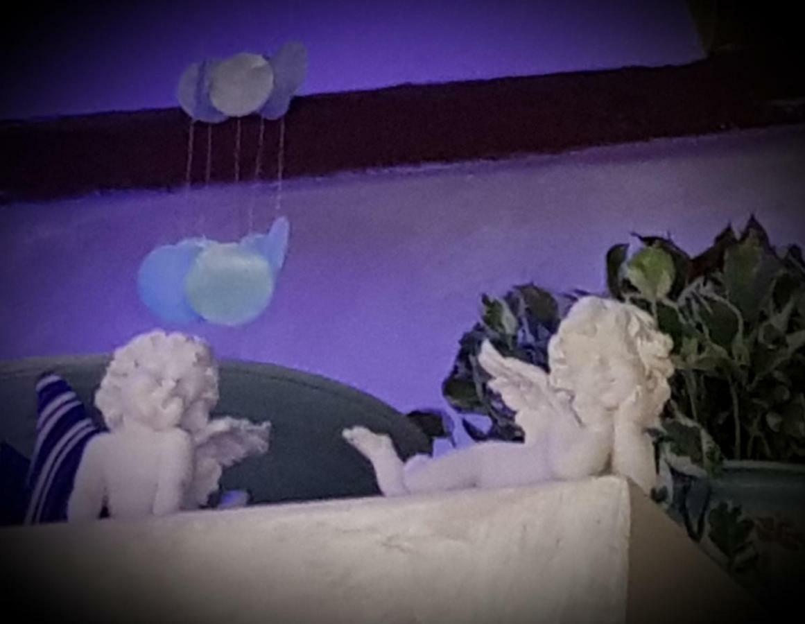 Stella Del Mar S.stefano Guest house Bologna