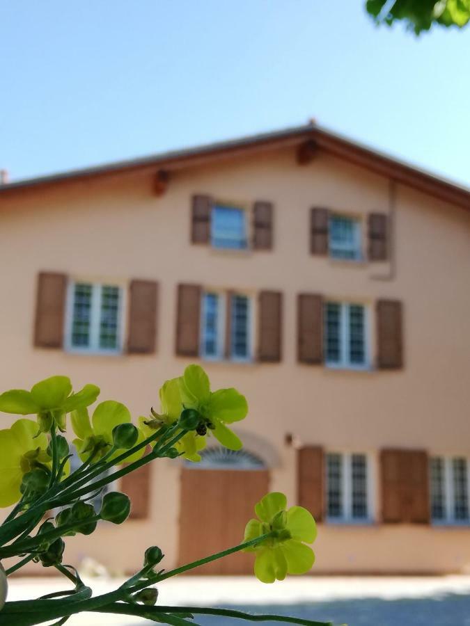 N'uova Campagna