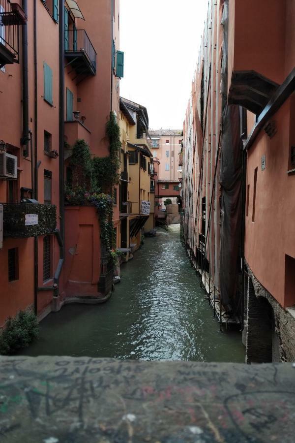 Il Nido Sui Tetti * Bologna