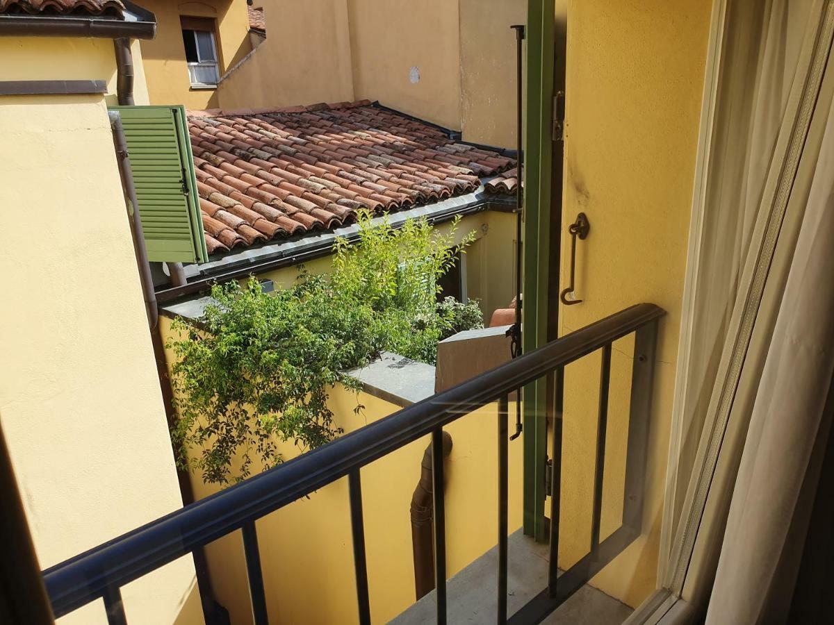 Griffoni 7 Bologna