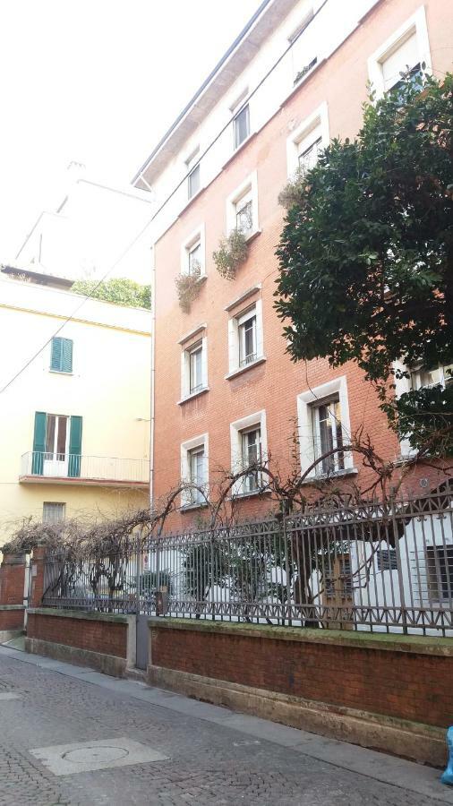Apartment Tilia