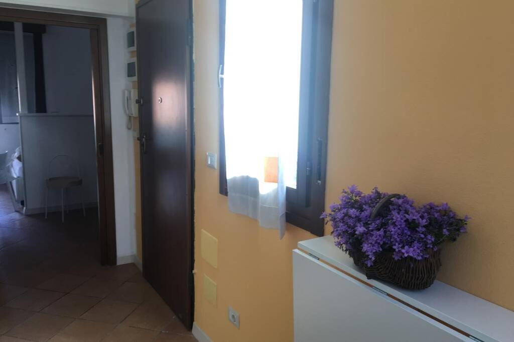 Via Montenero Apartment Bologna