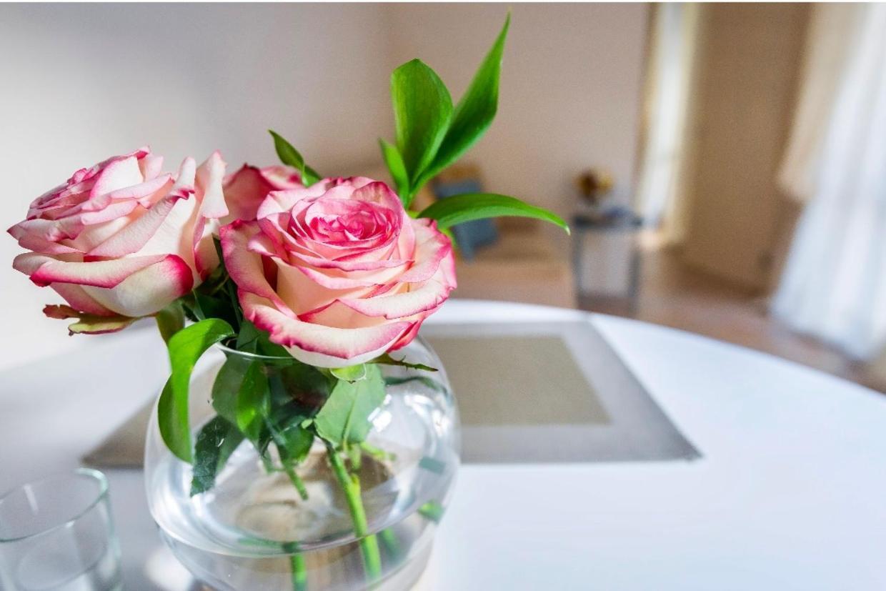 Le Palme Apartment Bologna