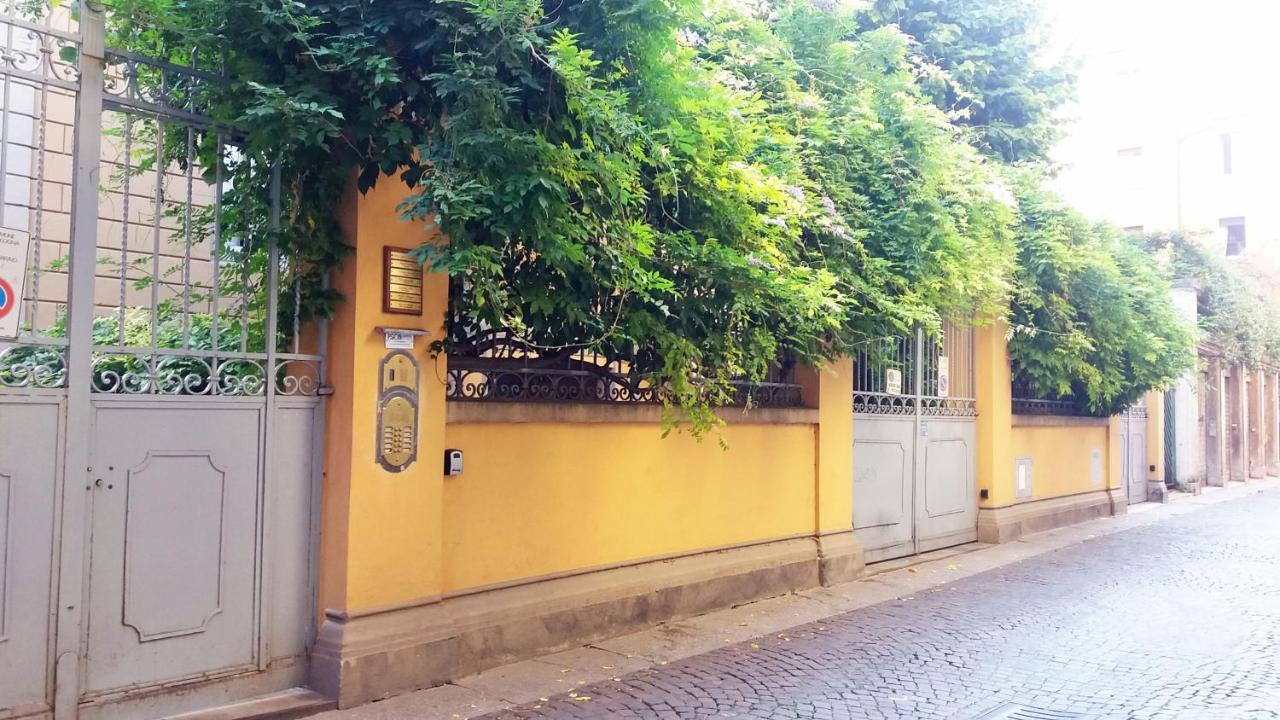 Apartment Tilia
