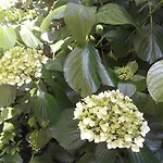 Giardino Segreto - History And Design