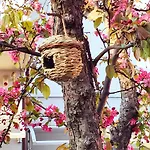 Appartamento Signorini - Bolognaholidayhome - Holiday House Bologna Garden Reserved Parking