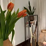Cozy Studio Apartment