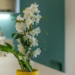 Ampio Appartamento In Corte Con Doppio Parcheggio Privato