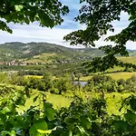 Castel Arienti Halldis Apartment
