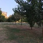 Dossetti 3