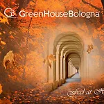 Greenhousebologna