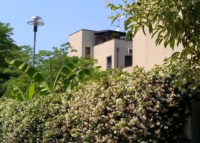 Da Ferro
