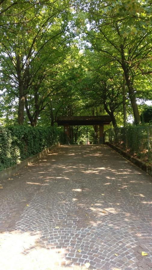 Poggio San Luca * Bologna