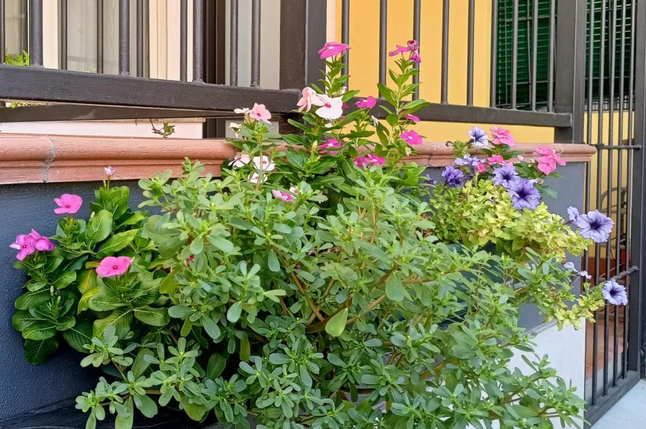 Apartment Borghetto San Donato 105 *