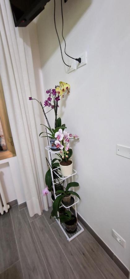 Bed & Breakfast Orchidea Bologna
