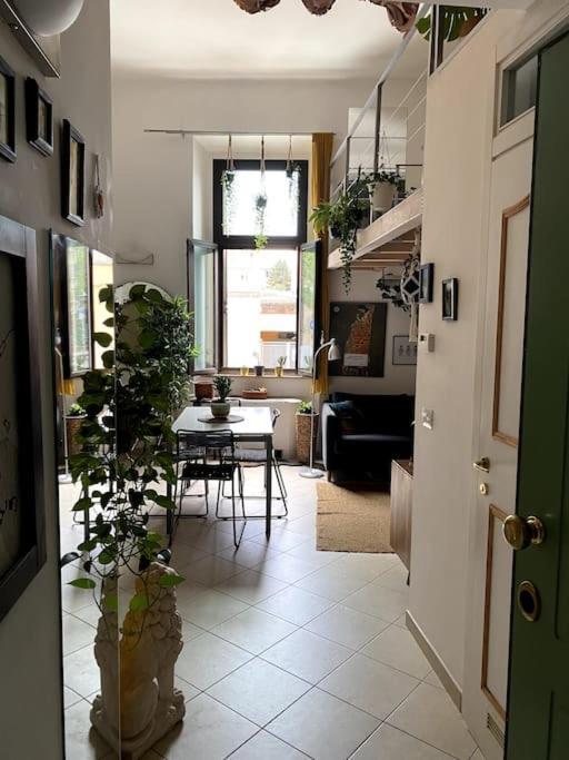 Loft Intero Stile Jungle Bolonha