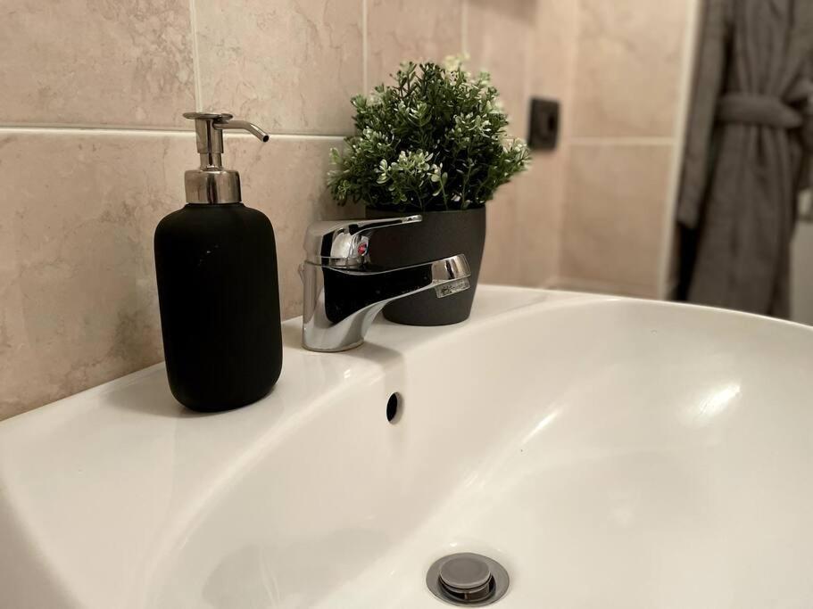 Loft - 1 Min Hospital S.orsola - Free Parking Apartment *