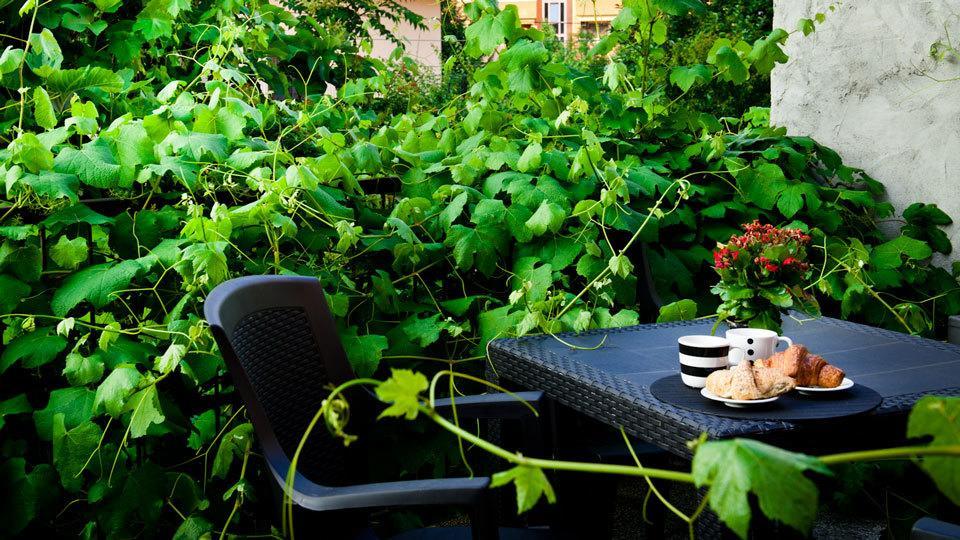 Casetta Resta Apartment *