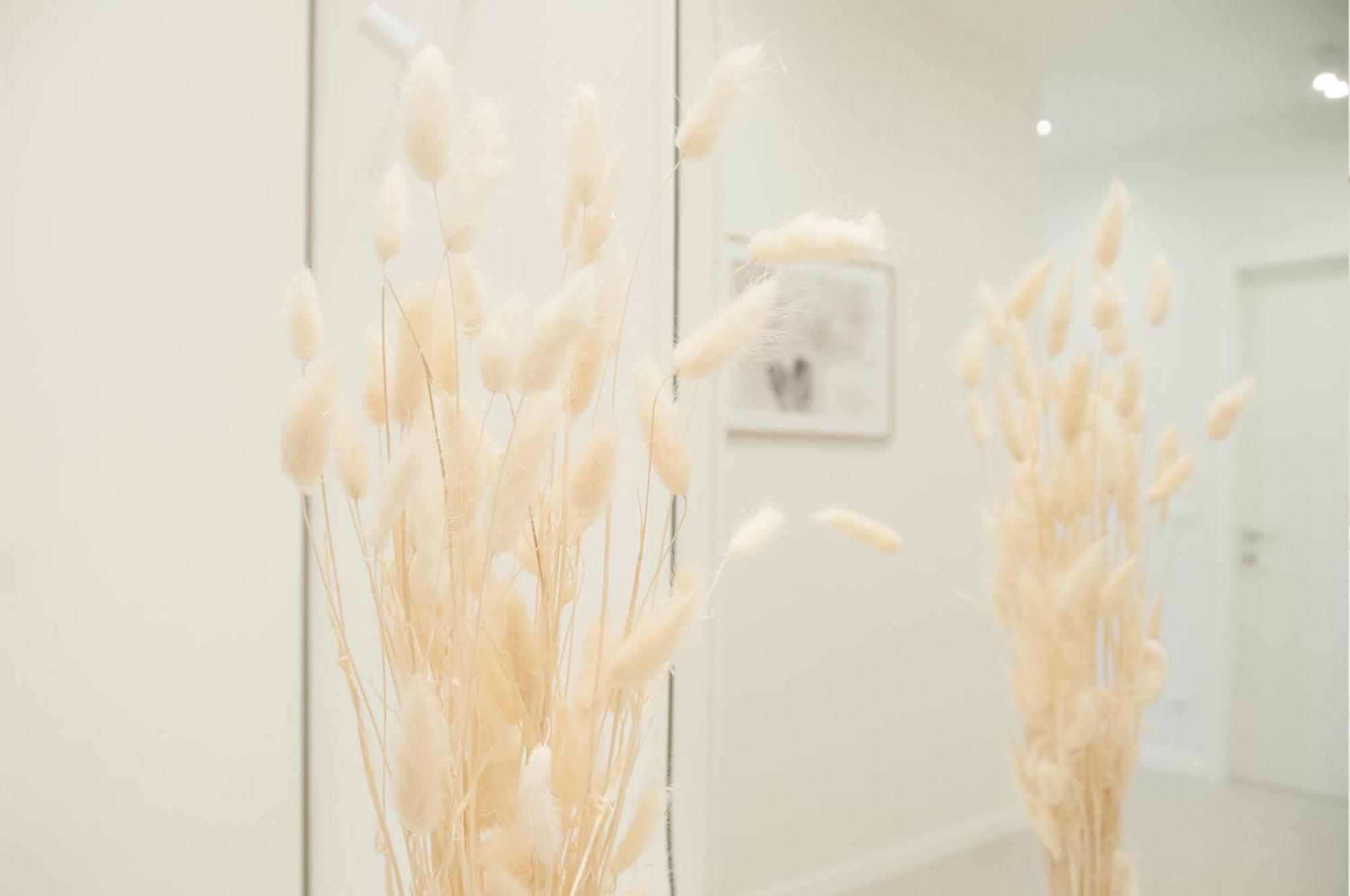 Apartment Brezza - Saffi Design - Ambrogiohost Bologna