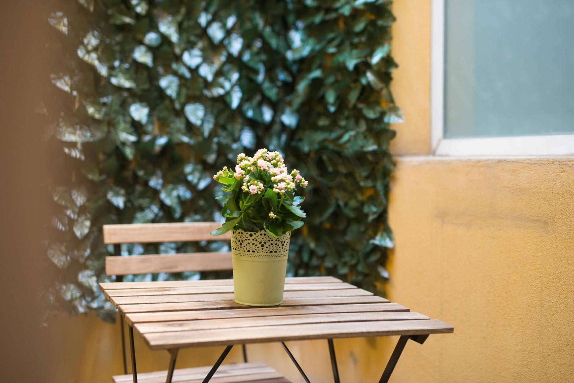 Caseospitali - Daisy, Ampio Trilocale X6 Vicino A Piazza Maggiore Apartment