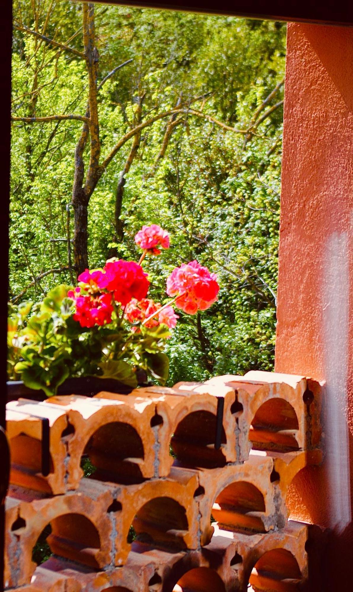 Podere Boschetto R&b Bed & Breakfast Bologna