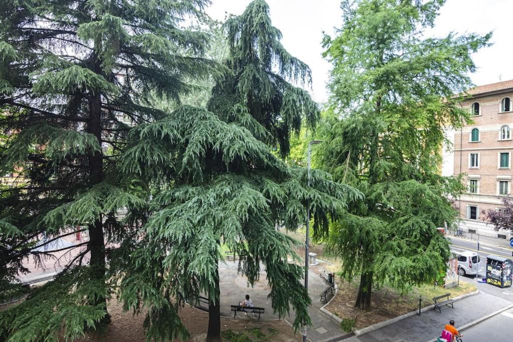Appartamento Bolognina