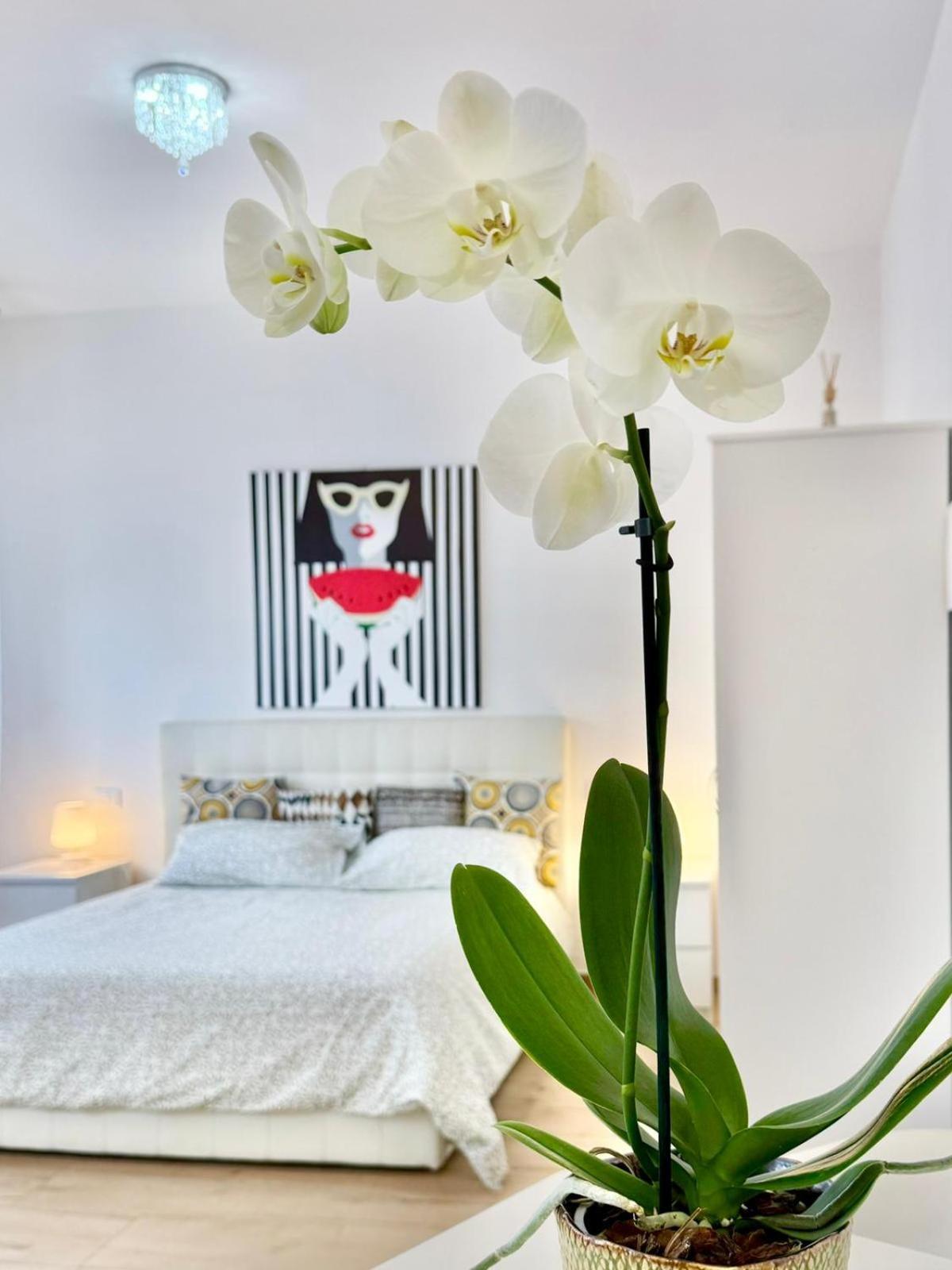 Apartment Travel Fiera Bologna