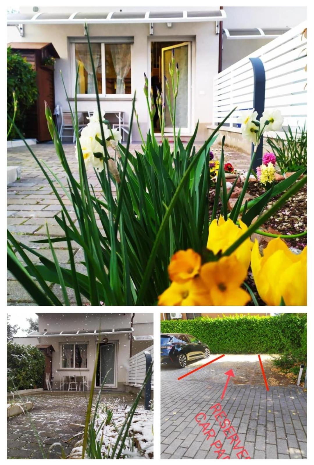 Signorini - Bolognaholidayhome - House Garden Reserved Parking *