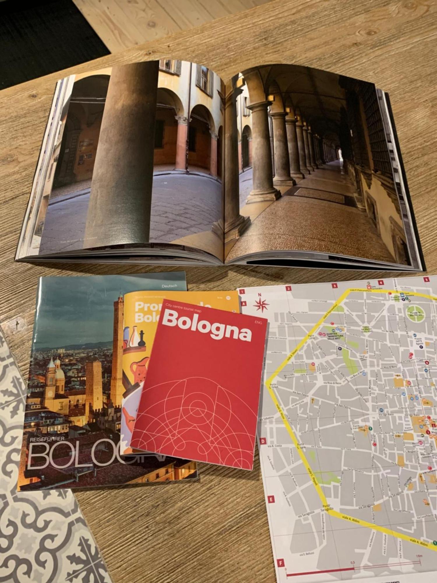 Casina Centotrecento-romantic & Quite Apartment- * Bologna
