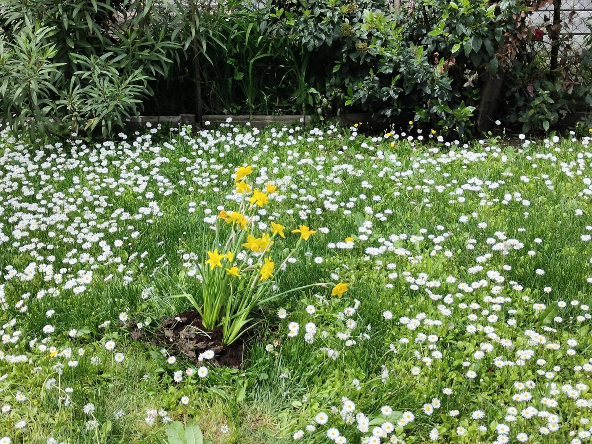 Apartment Grigio Perla Panigale, Con Giardino E Parcheggio Privato Fino A Tre Posti Auto - Un Oasi Di Tranqullita