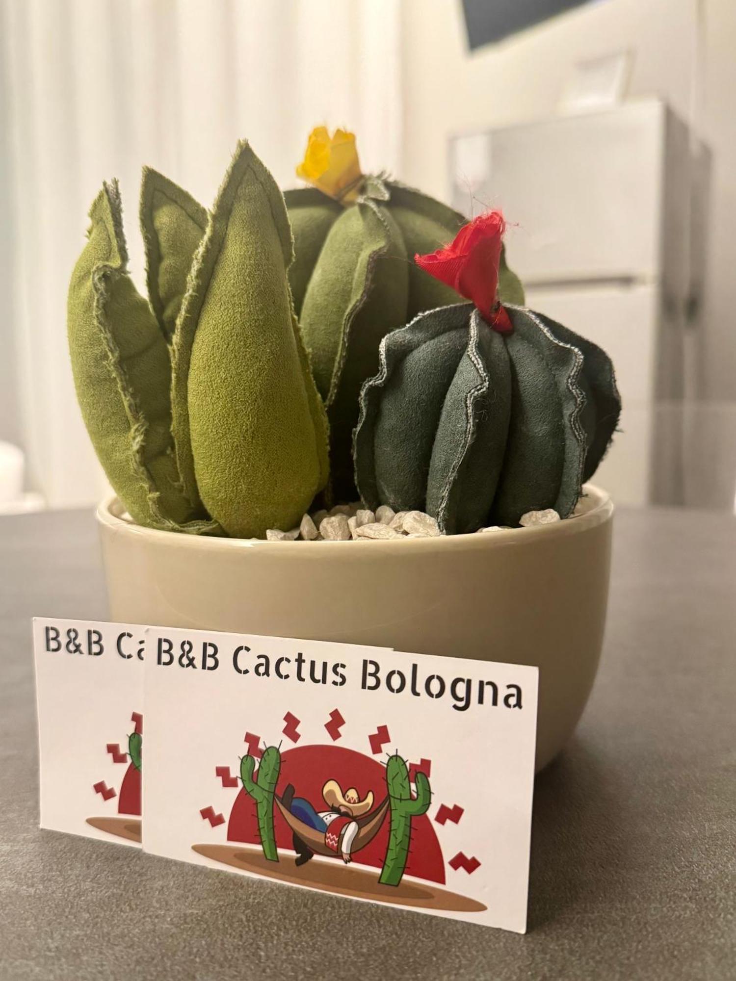 Bed & Breakfast Cactus *